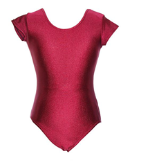 Kids Capped Sleeve Leotard