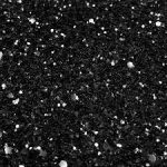 Black - Glitter